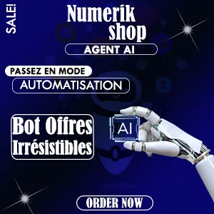 Bot Offres Irrésistibles (Modèle Hormozi)