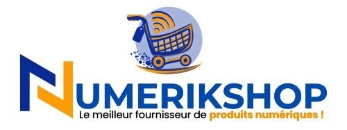 Numerikshop