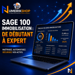 FORMATION SAGE 100 IMMOBILISATION DE DÉBUTANT À EXPERT